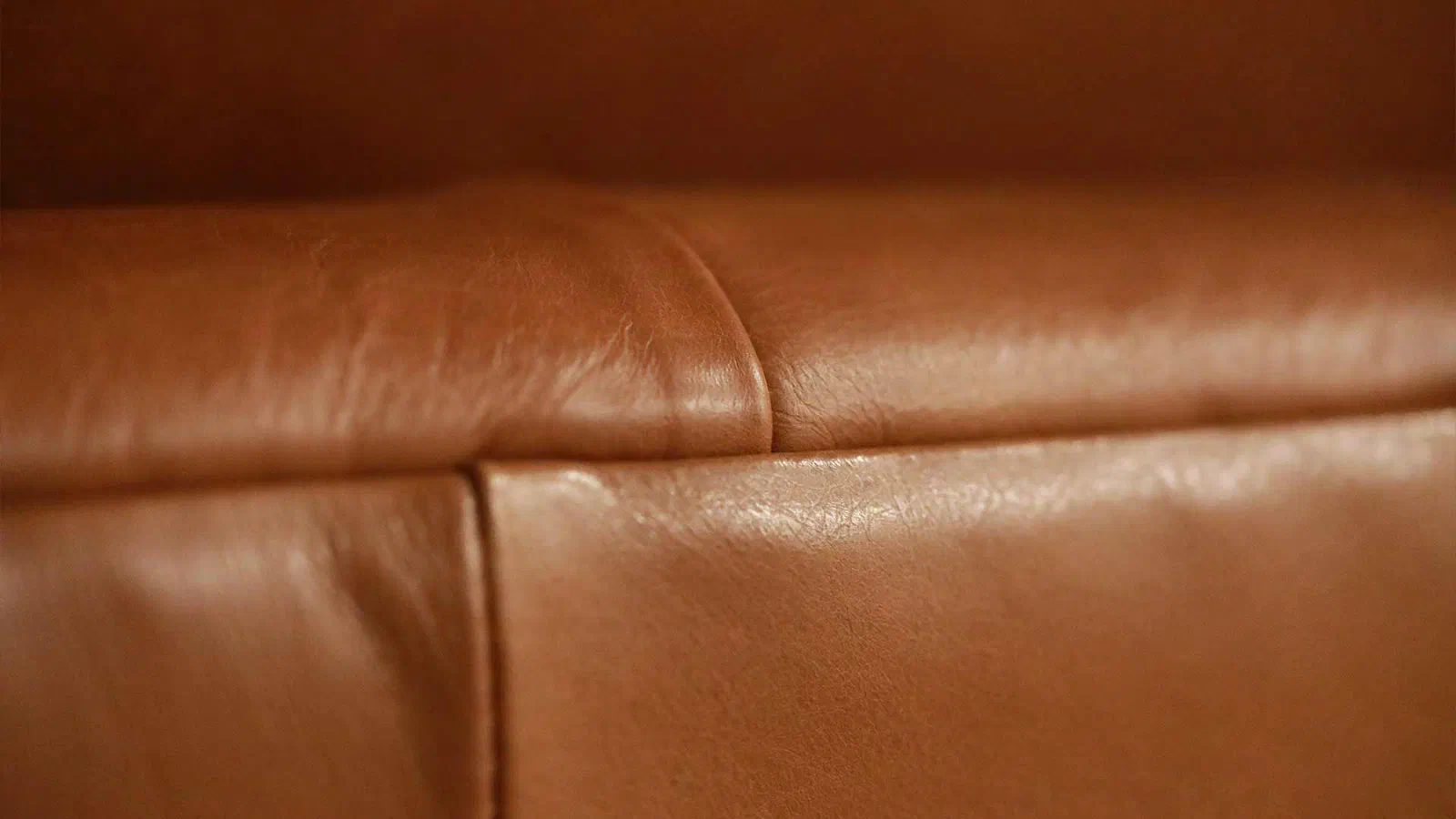 L'importance de nourrir le cuir
