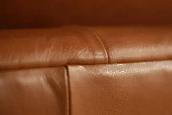 L'importance de nourrir le cuir